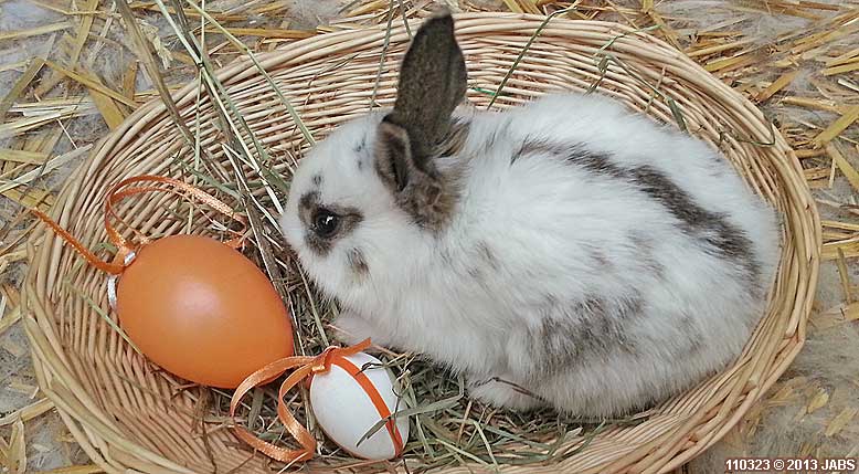 Kurzreise ber Ostern